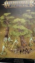 Awakened Wyldwood